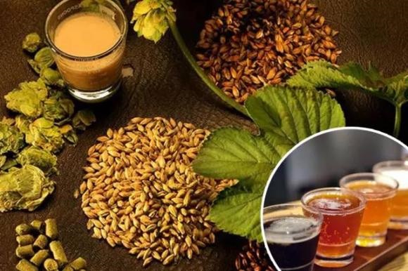 豪魯啤酒設備釀造不同口味的精釀啤酒 豪魯啤酒設備釀造不同口味的精釀啤酒