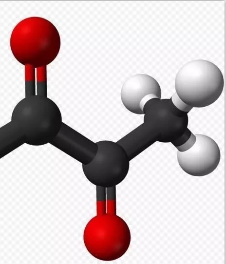 自釀啤酒設(shè)備 自釀啤酒設(shè)備