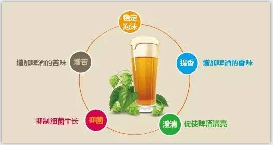 精釀啤酒設(shè)備 精釀啤酒設(shè)備